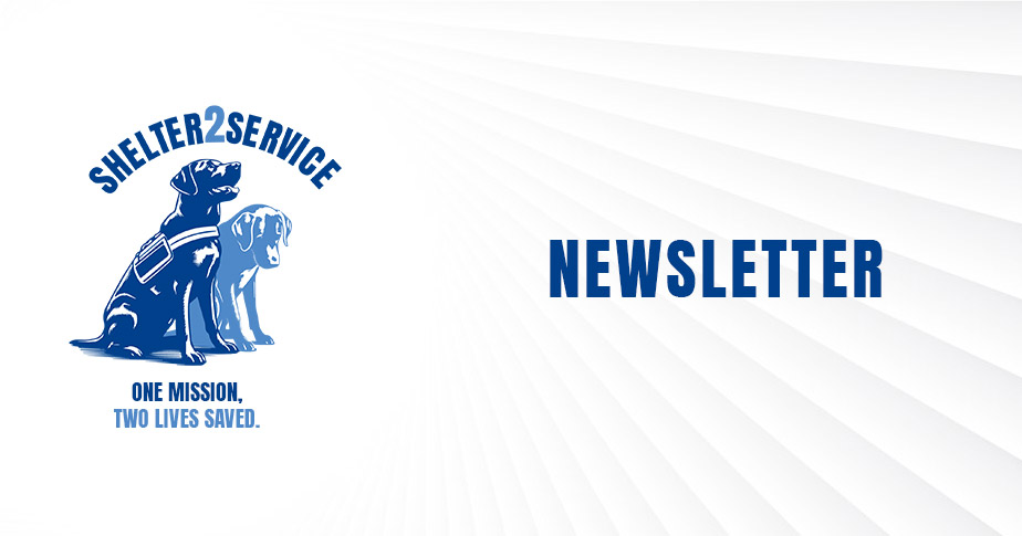 Shelter to Service logo with text"Newsletter"